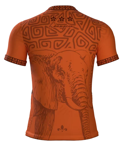 MAILLOT 3 ÉTOILES CHAMPION COTE D'IVOIRE ORANGE