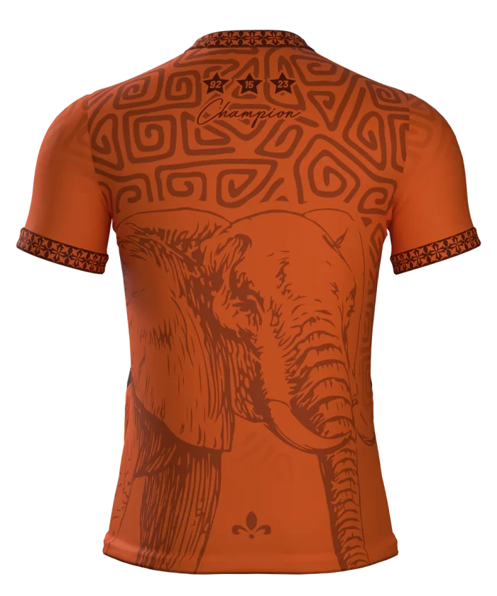 MAILLOT 3 ÉTOILES CHAMPION COTE D'IVOIRE ORANGE