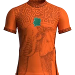 MAILLOT 3 ÉTOILES CHAMPION COTE D'IVOIRE ORANGE