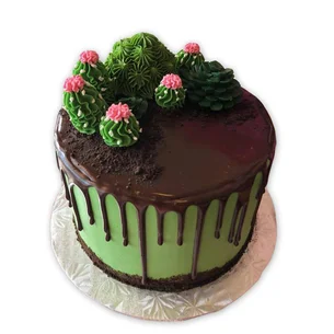 Gâteau Cactus découpe