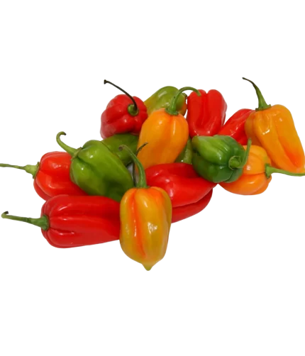 Piments frais